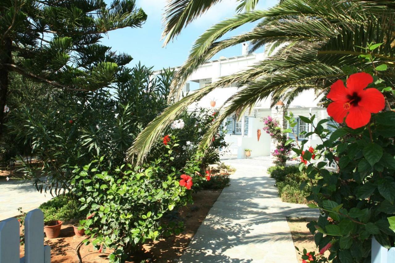 נאוסה Villa Viglakia מראה חיצוני תמונה